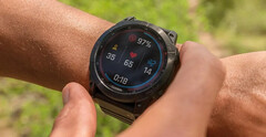 A série Fenix 7 é uma das três séries smartwatch que a Garmin atualizou até agora. (Fonte da imagem: Garmin)