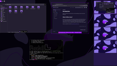 O Rhino Linux 2026.1 oferece suporte ao Lomiri no desktop e no celular