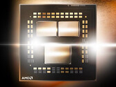 O Ryzen 5 5600X tem algumas costeletas sérias. (Fonte de imagem: AMD)