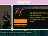 Grey Fox se apresentando na DEFCON 33 (Fonte da imagem: RF Hackers Sanctuary)