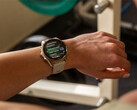 A Garmin já disponibilizou cinco atualizações v20.xx para o Fenix 8 e seus pares, mas não para o Fenix 8 Pro. (Fonte da imagem: Garmin)