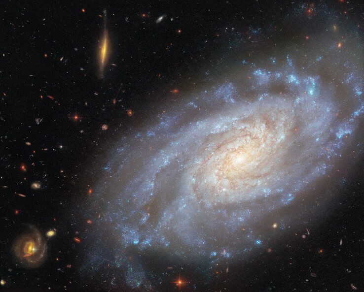 Imagem da NGC 3370 capturada pelo Hubble (Fonte da imagem: ESA/Hubble, NASA, A. Riess e K. Noll)