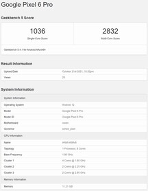 Pixel 6 Pro. (Fonte de imagem: Geekbench)