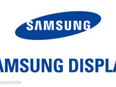 O Samsung Display pode vender para a Huawei novamente. (Fonte: Samsung)