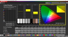 CalMAN ColorChecker (perfil: sRGB, espaço de cor de destino: sRGB)