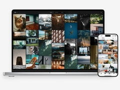 PC e smartphone com ZimaOS Photos