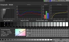 Escala de cinza (perfil: Original Pro, espaço de cor alvo: sRGB)