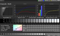 Escala de cinza (modo de cor: Natural, espaço de cor alvo: sRGB)