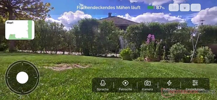 Vídeo ao vivo do jardim