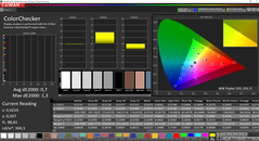 CalMAN ColorChecker calibrado