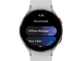 O Google continua a deixar cair a bola com o Wear OS. (Fonte da imagem: Google)