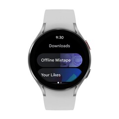 O Google continua a deixar cair a bola com o Wear OS. (Fonte da imagem: Google)