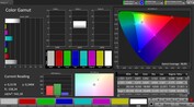 CalMAN color space sRGB - visor interno