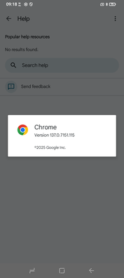 O Chrome 137 vem pré-instalado. (Fonte da imagem: Sergey Tarasov - Notebookcheck)