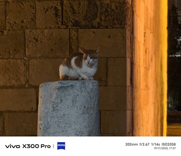 Vivo X300 Pro 200 mm sem teleconversor.