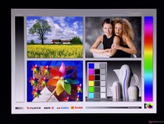 Amplos ângulos de visão OLED