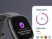 Depois de 8 de julho, os clientes da Fitbit terão que usar o aplicativo Fitbit. (Fonte da imagem: Fitbit)