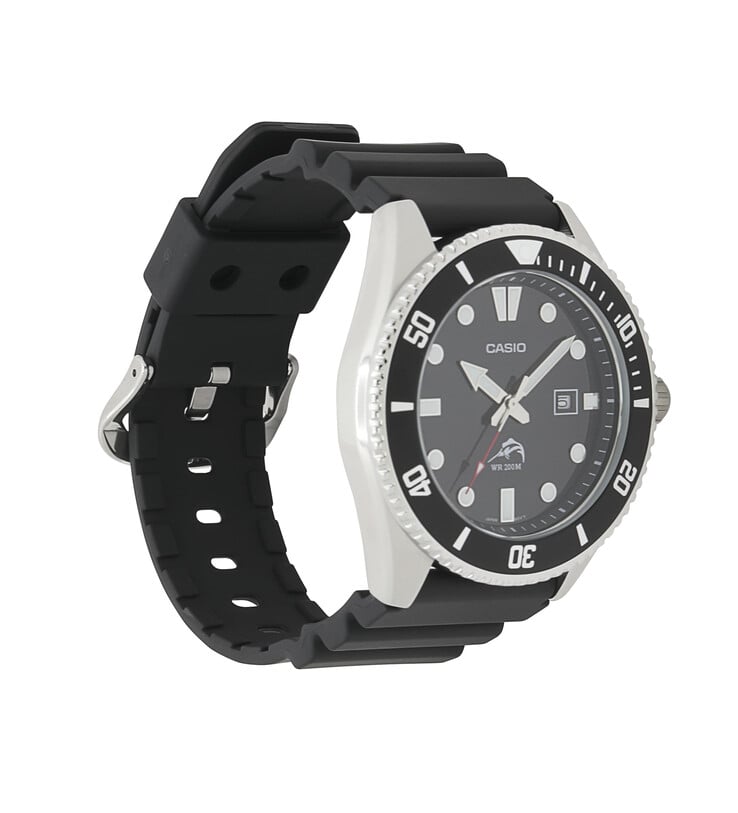 (Fonte da imagem: Casio)