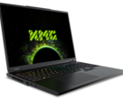 O salto geracional entre a RTX 4080 móvel e a RTX 5080 móvel está onde esperamos que esteja, sem nenhum recurso de upscaling DLSS (Fonte da imagem: Schenker)
