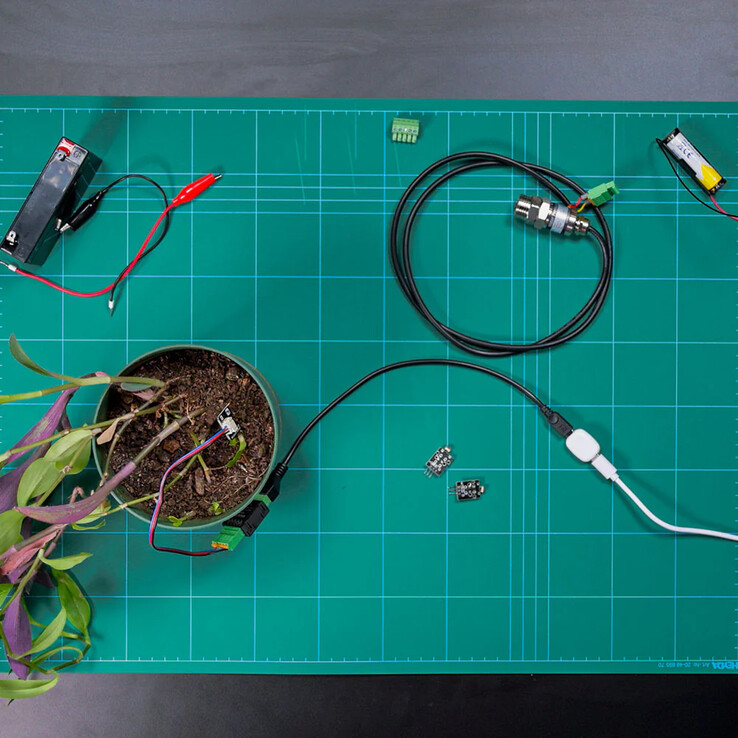 The Pill, de Shelly (Fonte da imagem: Shelly)