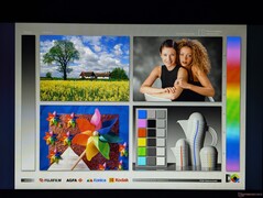 Amplos ângulos de visão IPS