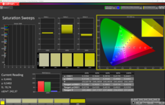 Varreduras de saturação CalMAN (após a calibração)