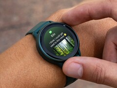 O smartwatch Garmin vivoactive 6 (na foto) parece estar recebendo uma nova atualização. (Fonte da imagem: Garmin)
