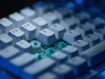 Anel SAPP montado no switch.