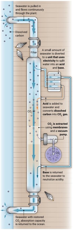 O armazenamento subsequente, em particular, é uma tarefa importante. A filtragem, por outro lado, mostrada aqui de forma esquemática, não é nada difícil. (Imagem: N.Burgess/Science)