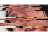 Uma captura de tela do jogo de terror VILE: Exhumed, que mostra um vídeo VHS pausado e com falhas de uma mulher. (Fonte da imagem: DreadXP/Final Girl Games)