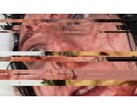 Uma captura de tela do jogo de terror VILE: Exhumed, que mostra um vídeo VHS pausado e com falhas de uma mulher. (Fonte da imagem: DreadXP/Final Girl Games)