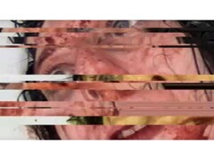 Uma captura de tela do jogo de terror VILE: Exhumed, que mostra um vídeo VHS pausado e com falhas de uma mulher. (Fonte da imagem: DreadXP/Final Girl Games)