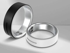 O Vibe está disponível nestas duas variantes de modelos diferentes (Fonte da imagem: Rollme)