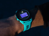 A Garmin ainda não terminou o desenvolvimento do 18.xx para o Forerunner 265. (Fonte da imagem: Garmin)