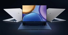 O novo MagicBook V 14. (Fonte: Honor)