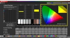 Calman ColorChecker (Perfil: P3, Espaço de cor alvo: P3)