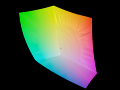O espaço de cores sRGB é coberto em 100%
