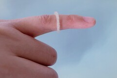 anel repelente de insetos impresso em 3D desenvolvido pela Universidade Martin Luther de Halle-Wittenberg (Fonte da imagem: Uni Halle / Fanfan Du)