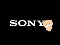 O urso insone Nemu tem como objetivo ajudar a Sony a construir uma marca de personagem de sucesso internacional.