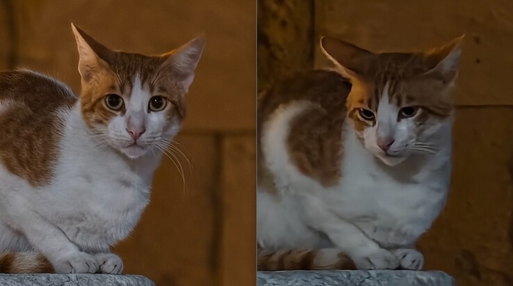 Esquerda: Com teleconversor a 200 mm. À direita: Sem teleconversor.