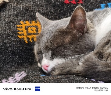 Vivo X300 Pro 400 mm sem teleconversor.