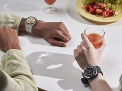 Espera-se que a Samsung entregue três novas variantes do Galaxy Watch este ano, incluindo duas opções do Galaxy Watch 8. (Fonte da imagem: Samsung)