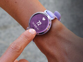 A Garmin raramente lança novas atualizações para o Lily 2. (Fonte da imagem: Garmin)