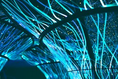Os cabos de fibra óptica também podem ser usados para criar obras de arte. (Fonte da imagem: Pexels/Georgie Devlin)