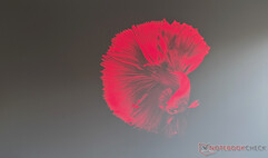 Dangbei MP1 Qualidade máxima de imagem à luz do dia