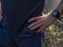 A Garmin lançou a versão 20.29 do software para o Forerunner 255. (Fonte da imagem: Garmin)