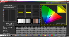 CalMAN ColorChecker calibrado (DCI-P3 color target space)