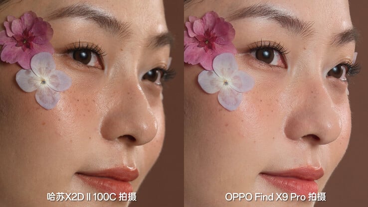 Uma comparação detalhada. (Fonte da imagem: Zhou Yibao)