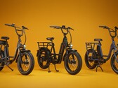 A e-bike utilitária RadRunner Max Cargo possui um motor de 750 W montado na traseira (Fonte da imagem: Rad Power Bikes)