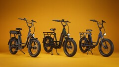 A e-bike utilitária RadRunner Max Cargo possui um motor de 750 W montado na traseira (Fonte da imagem: Rad Power Bikes)